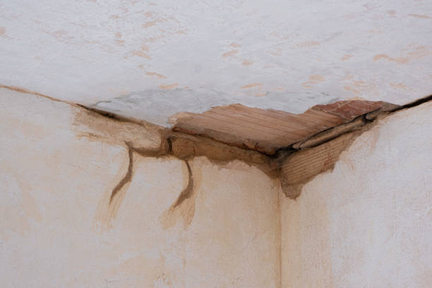  Mojave, CA Water damage restoration Pros